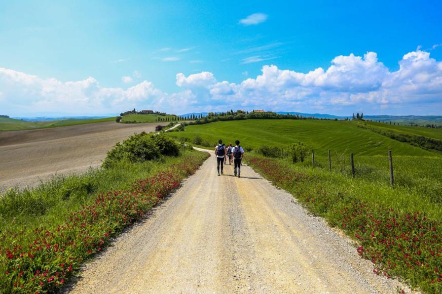 Podere Il Granaio - Crete Senesi - Tuscany Siena Exterior photo